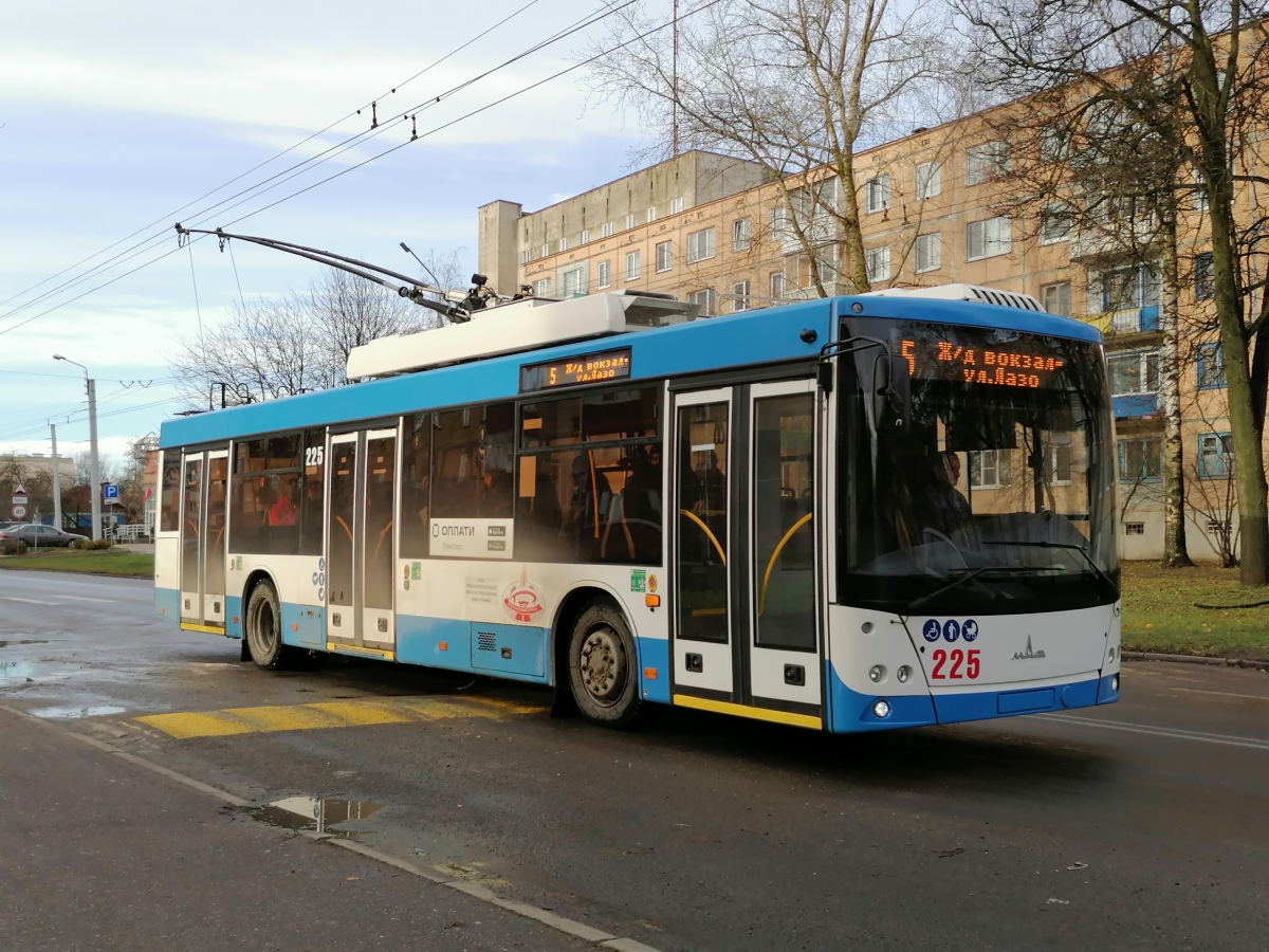 Витебск, МАЗ-203Т70 № 225