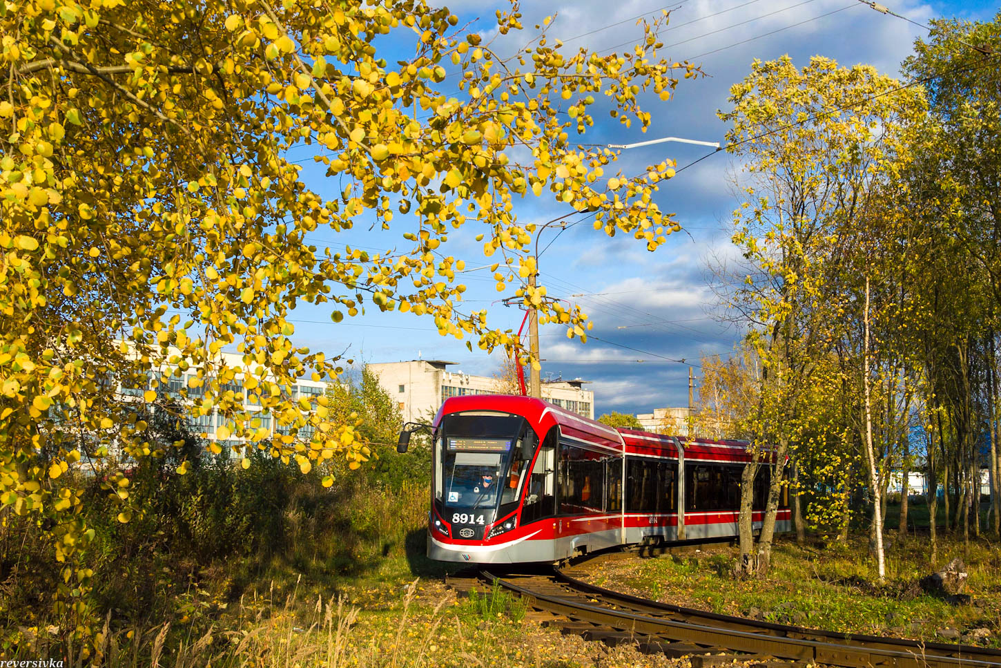 Санкт-Пецярбург, 71-931М «Витязь-М» № 8914
