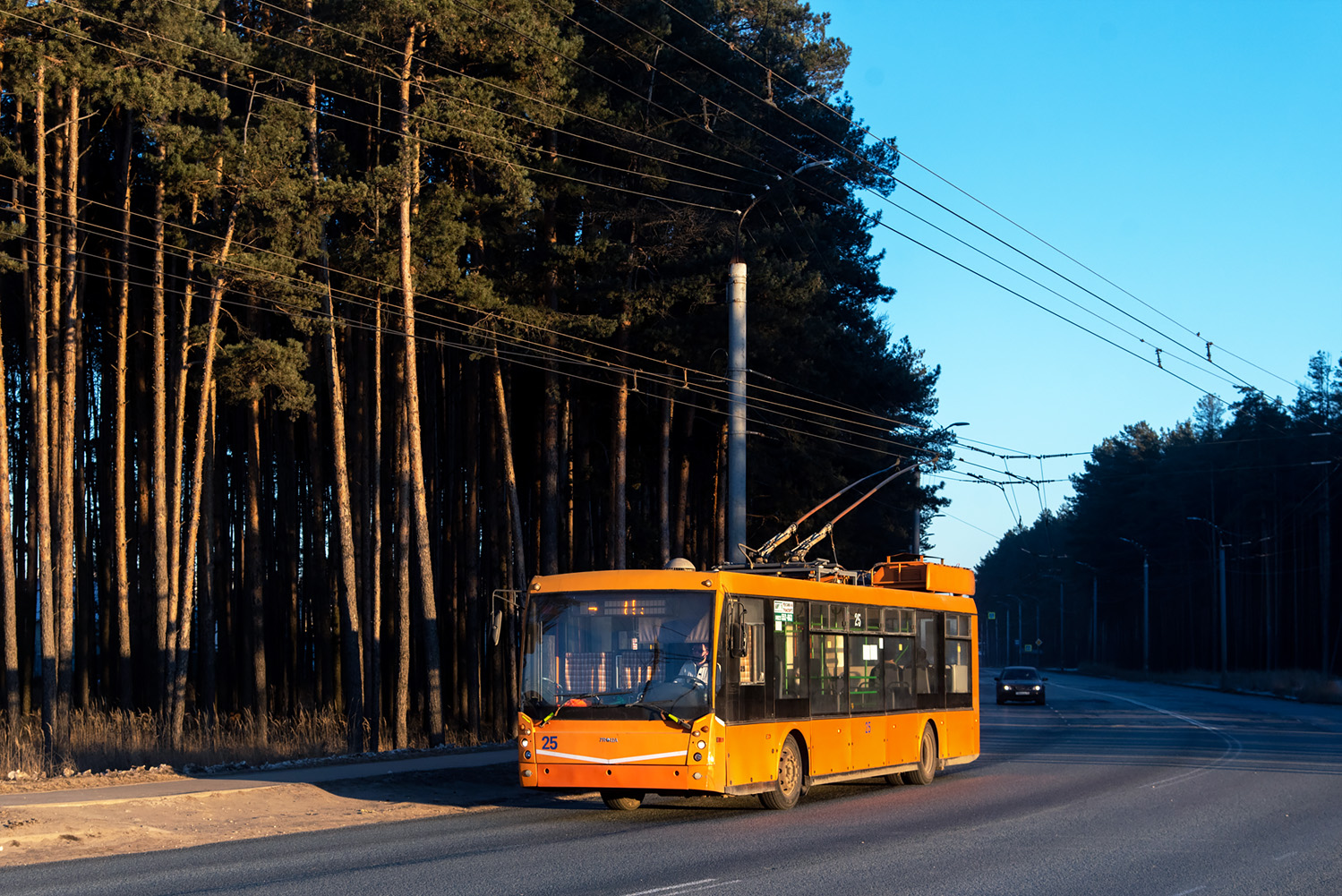 Ковров, Тролза-5265.00 «Мегаполис» № 25