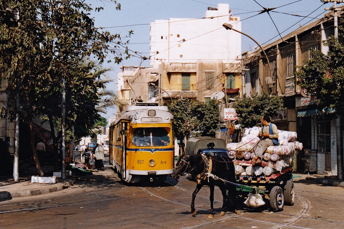 Alexandria, Duewag GT6 — 807; Transport and animals