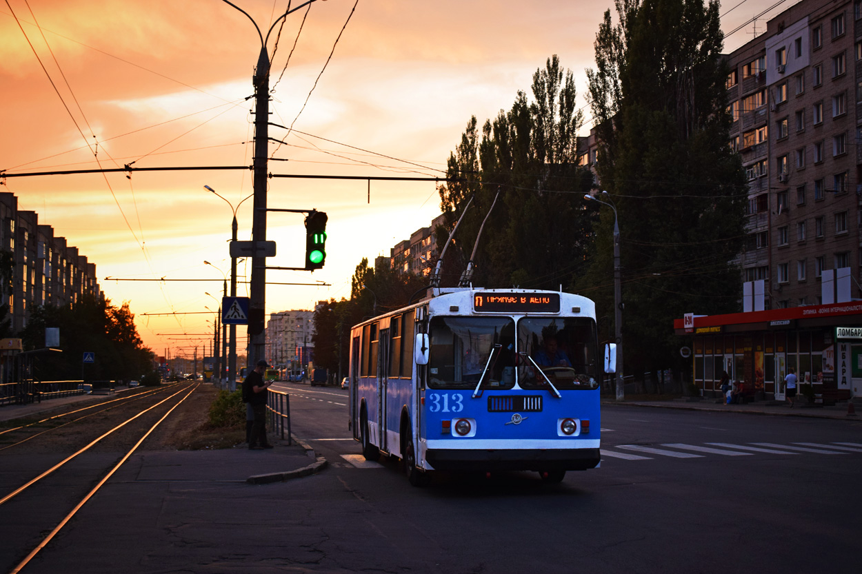 Винница, ЗиУ-682Г [Г00] № 313