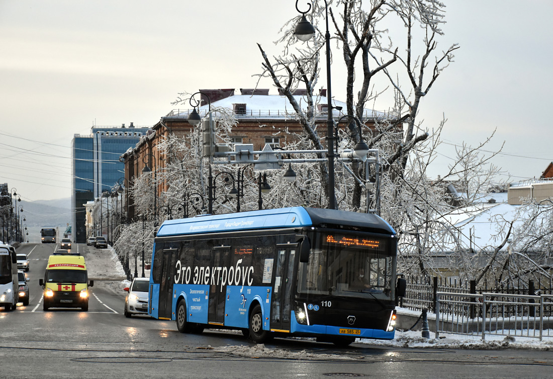 Vladivostok, LiAZ-6274 Nr. 110; Vladivostok — Ice Storm 19.11.2020-20.11.2020
