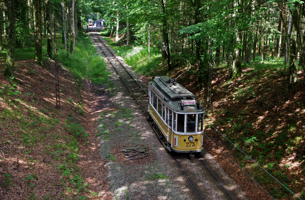 Скьолленесхольм, Двухосный моторный Scandia № 275