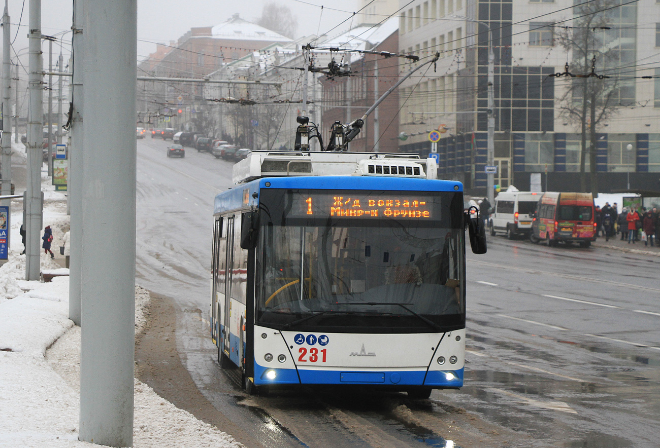 Витебск, МАЗ-203Т70 № 231