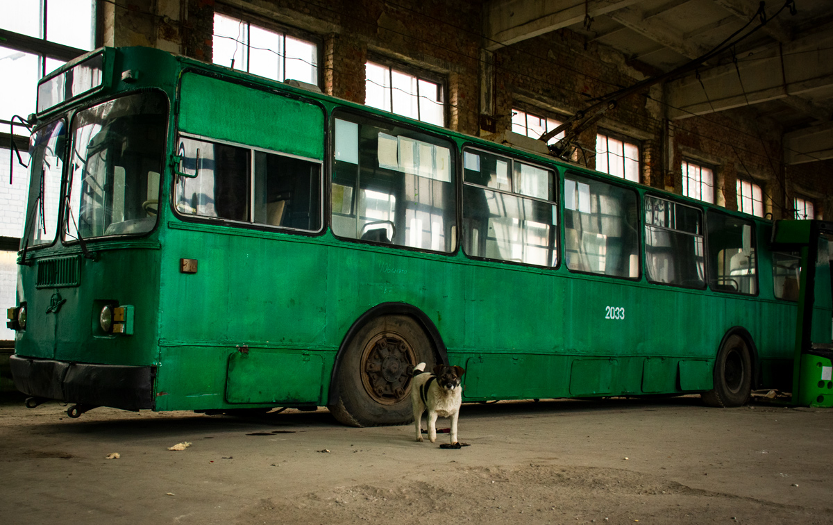 Schytomyr, ZiU-682G [G00] Nr. 2033; Schytomyr — Decommissioned trolleybuses of Zhytomyr; Schytomyr — Miscellaneous photos; Transport and animals; Schytomyr — Trip in honor of the 5th anniversary of the beginning restoration of retro trolleybuses ZiU-682V in Zhytomyr