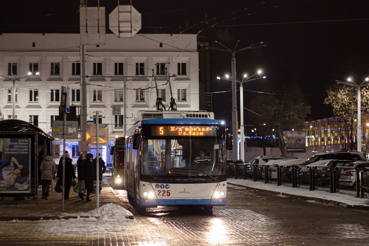 Витебск, МАЗ-203Т70 № 225