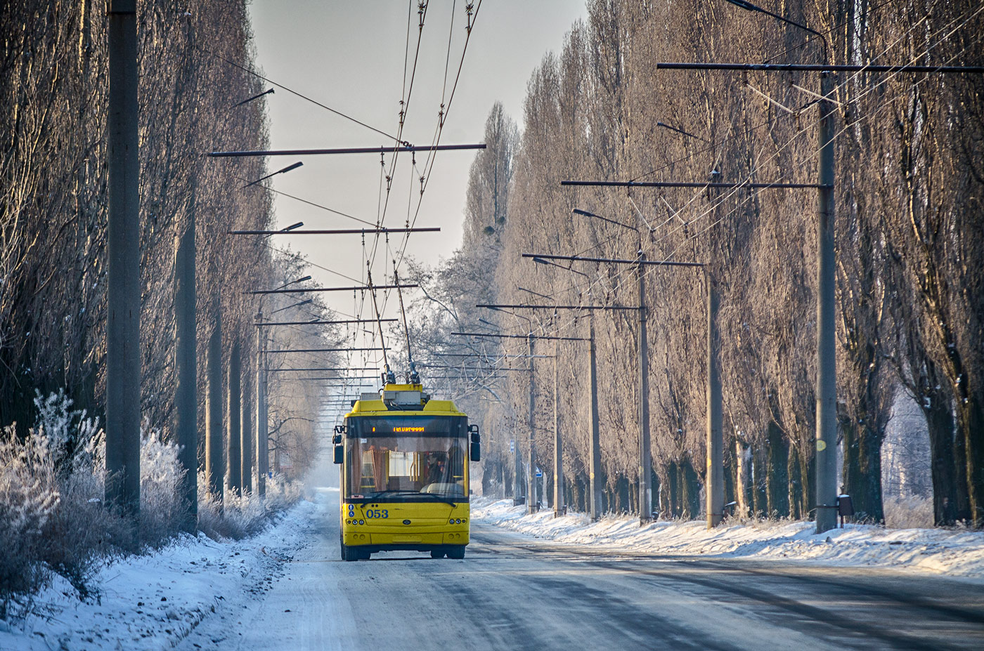 Sumis, Bogdan T70117 nr. 053