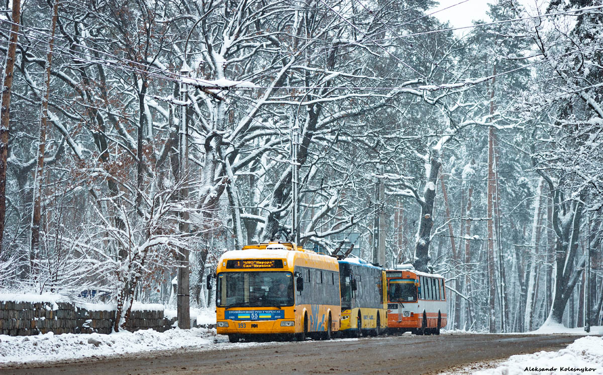 Czerkasy, BKM 321 Nr 393