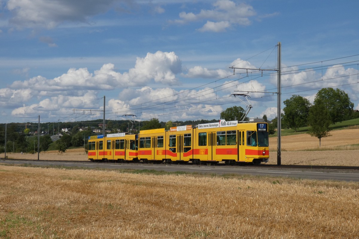 Базель, Schindler/Siemens Be 4/8 № 210