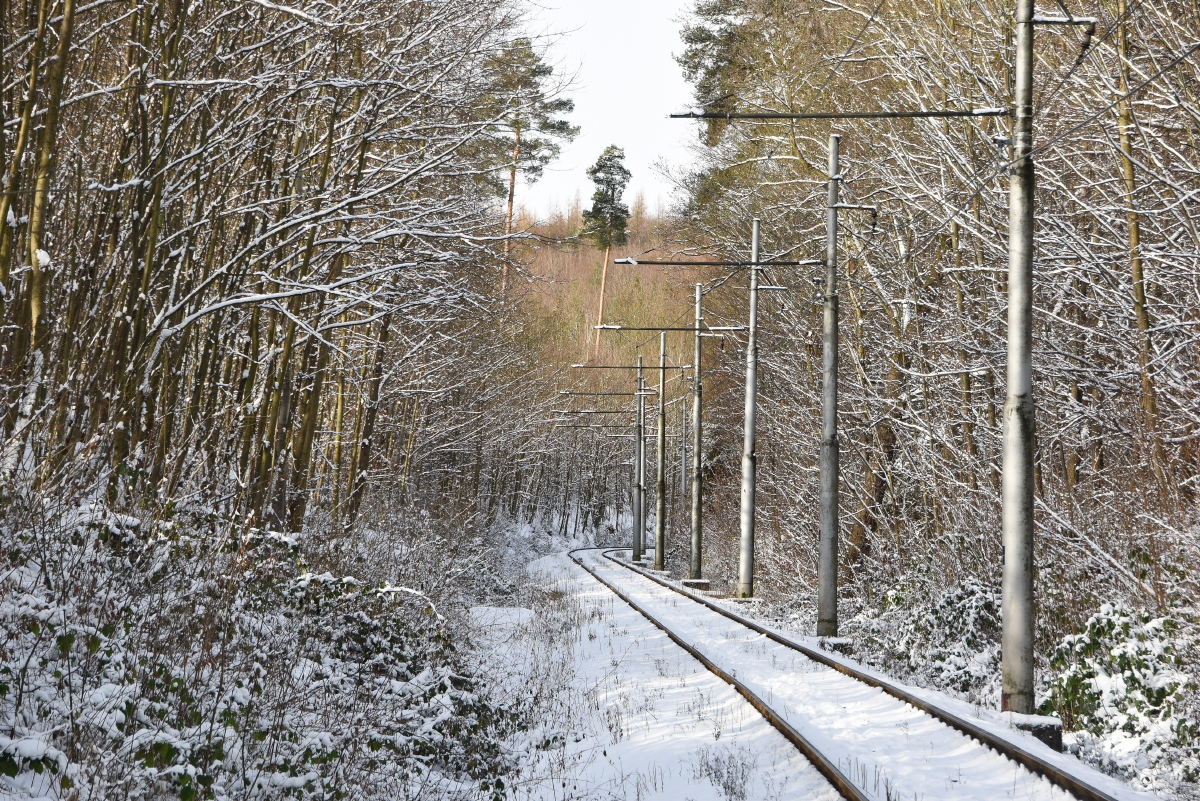 Острава — Трамвайные линии и инфраструктура