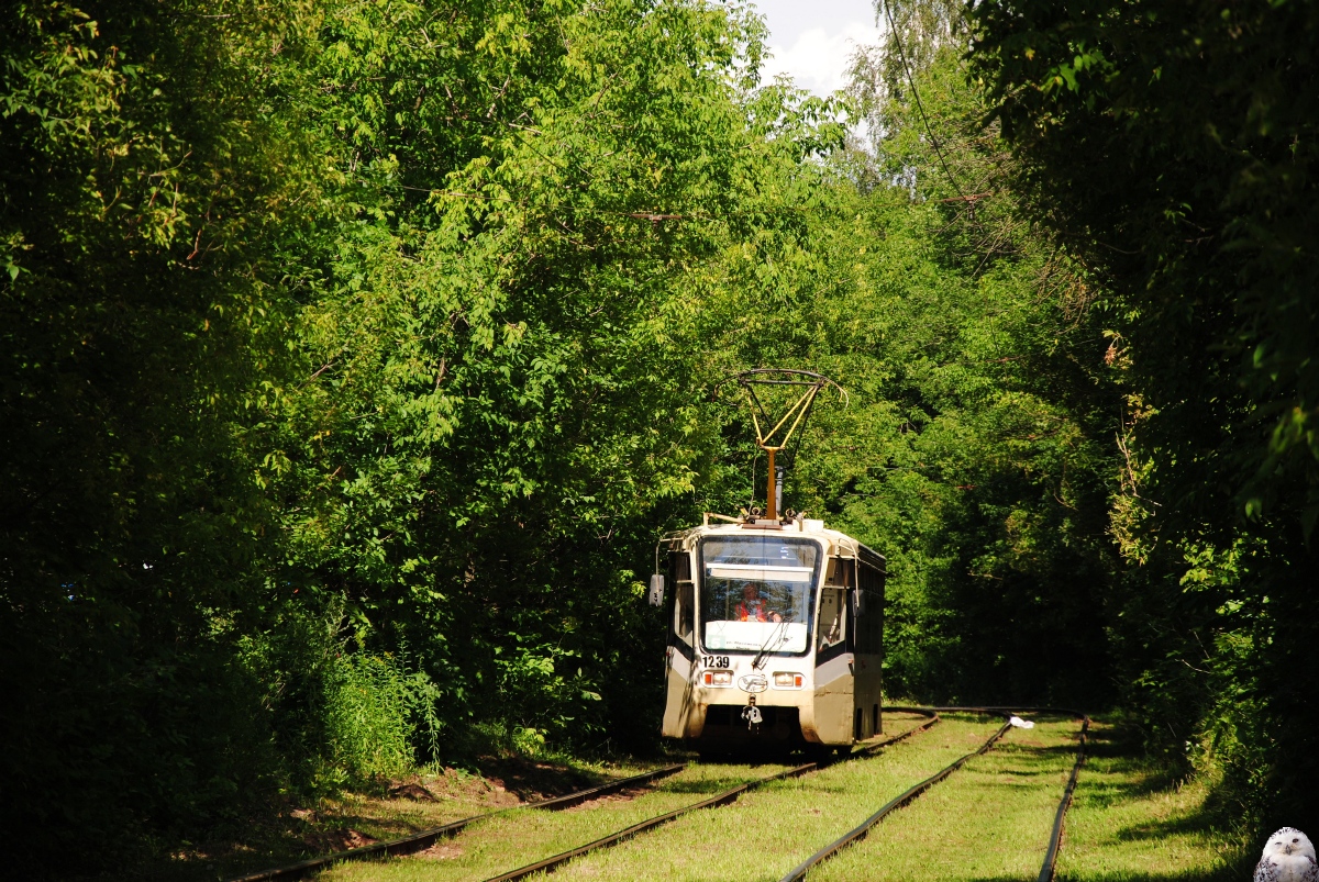 Нижний Новгород, 71-619КТ № 1239