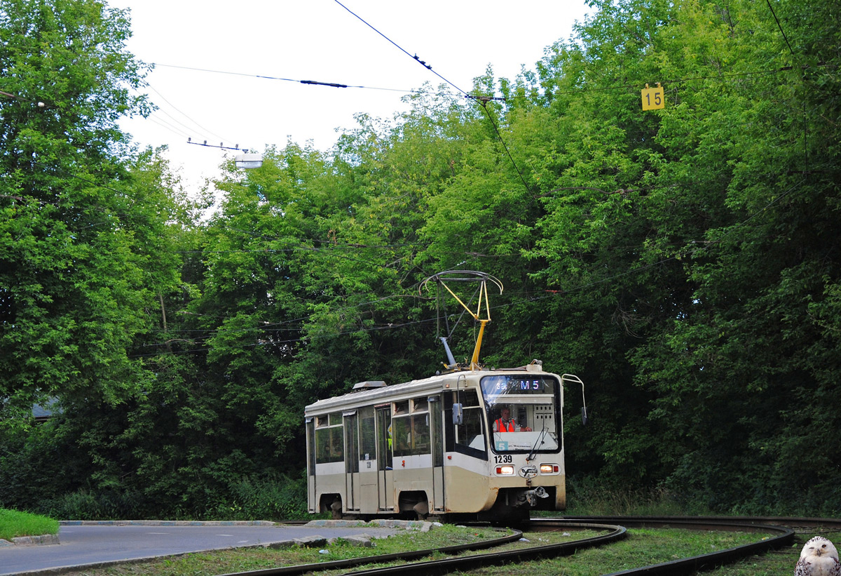 Нижний Новгород, 71-619КТ № 1239
