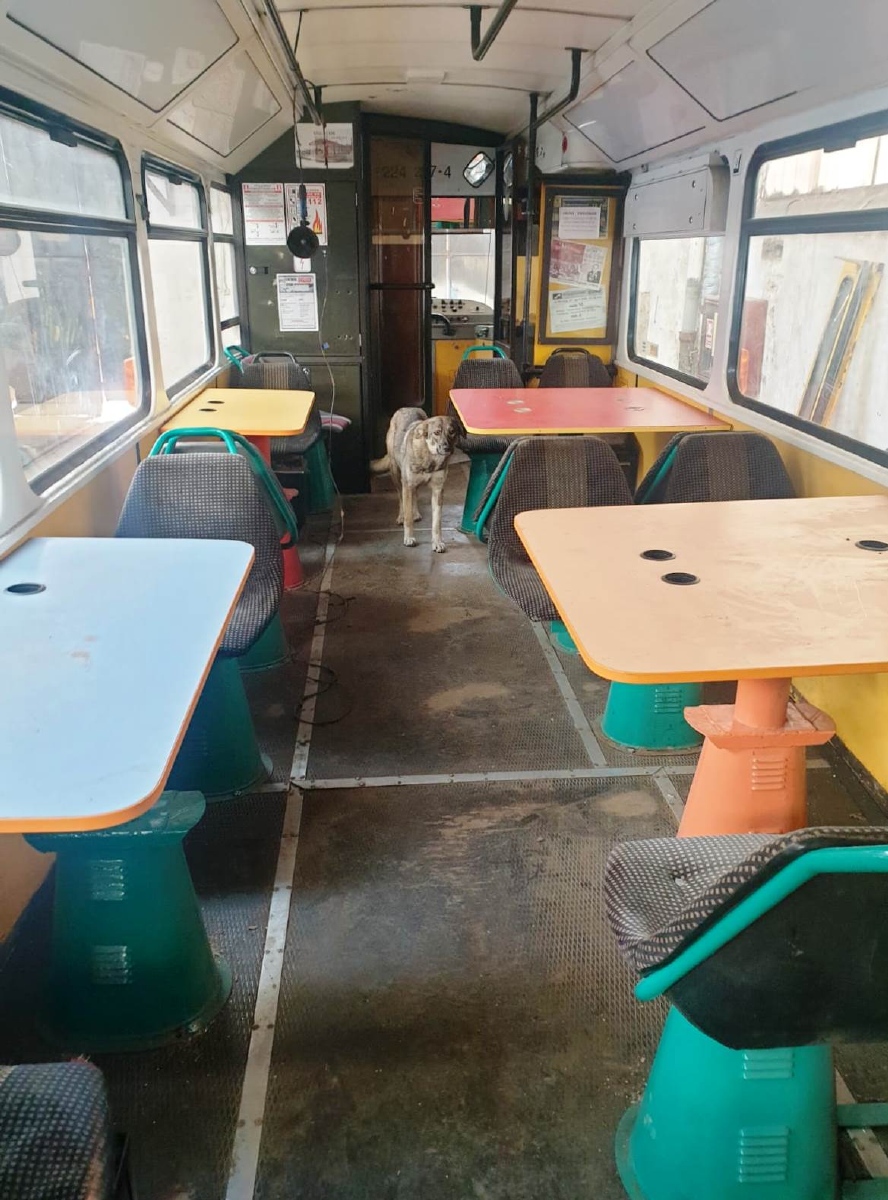 Ботошани, Tatra T4D-MT № BT-341; Транспорт и животные