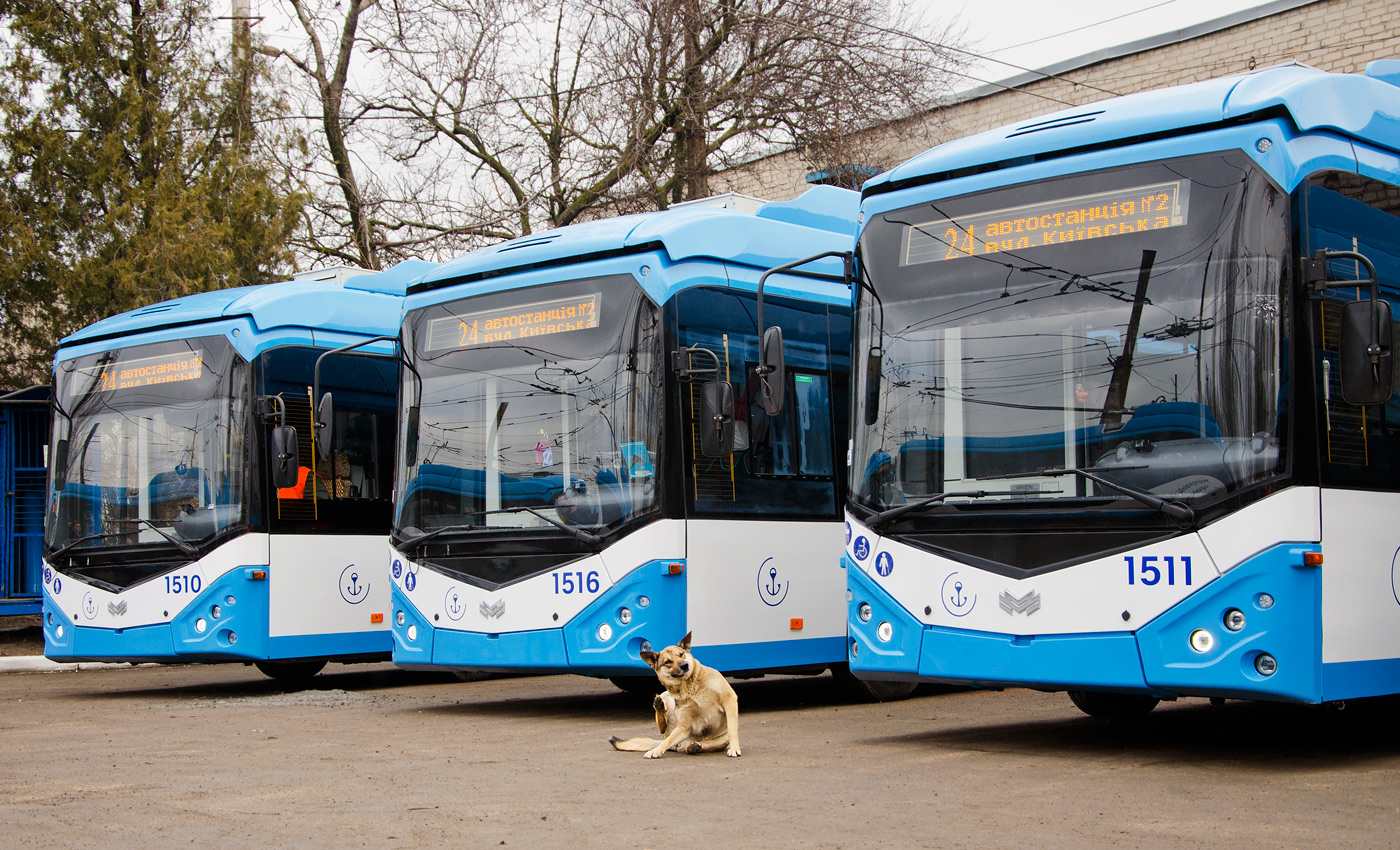 Мариуполь — Новые троллейбусы: АКСМ Украина; Транспорт и животные