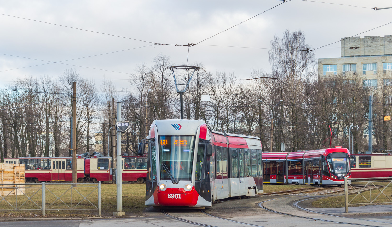 Санкт-Петербург, 71-801 (Alstom Citadis 301 CIS) № 8901
