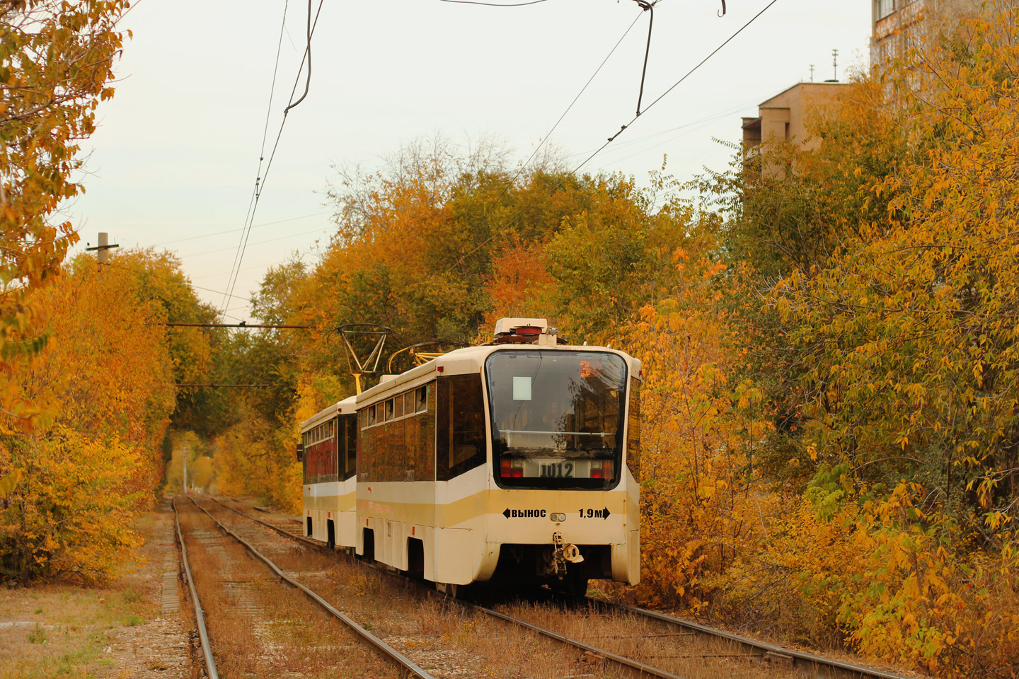 Saratov, 71-619KT № 1012