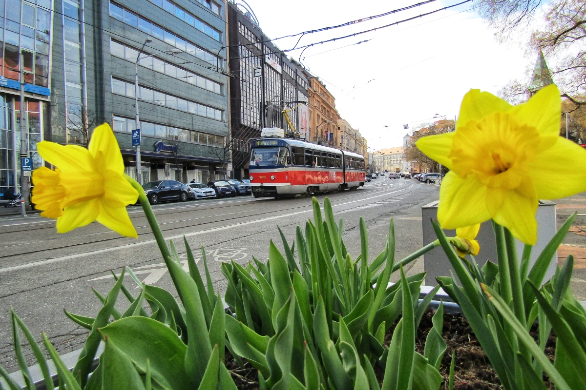 Bratislava — Miscellaneous photos
