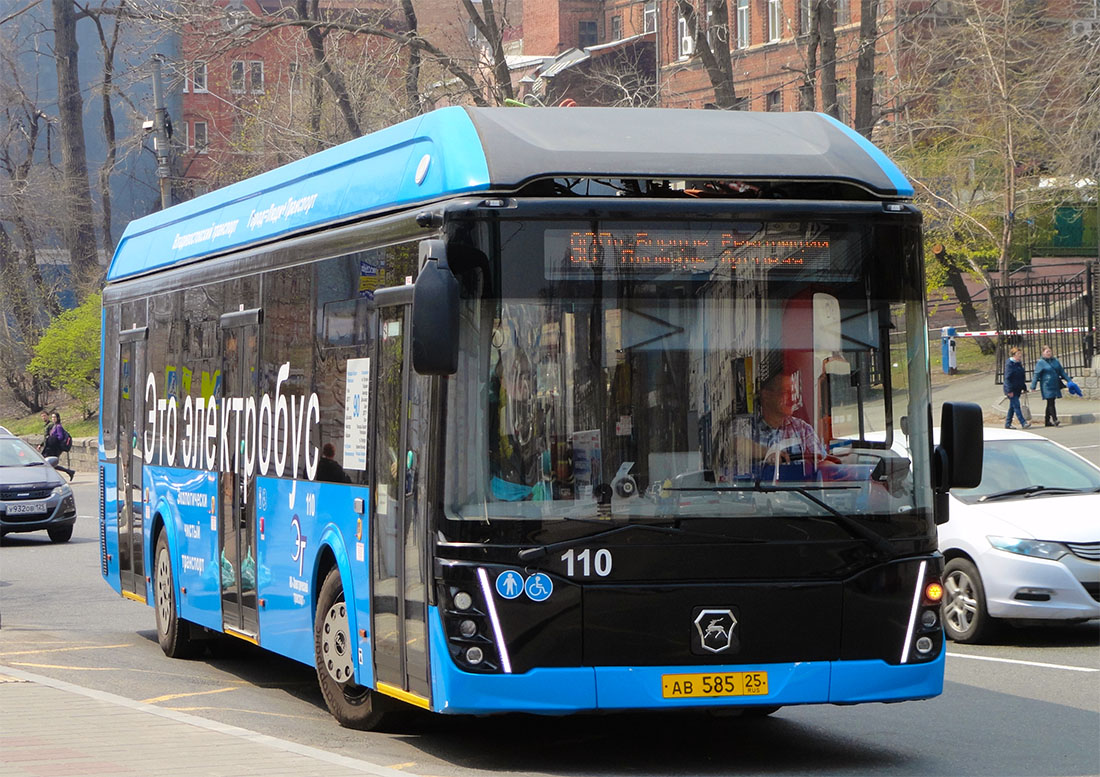 海參威, LiAZ-6274 # 110