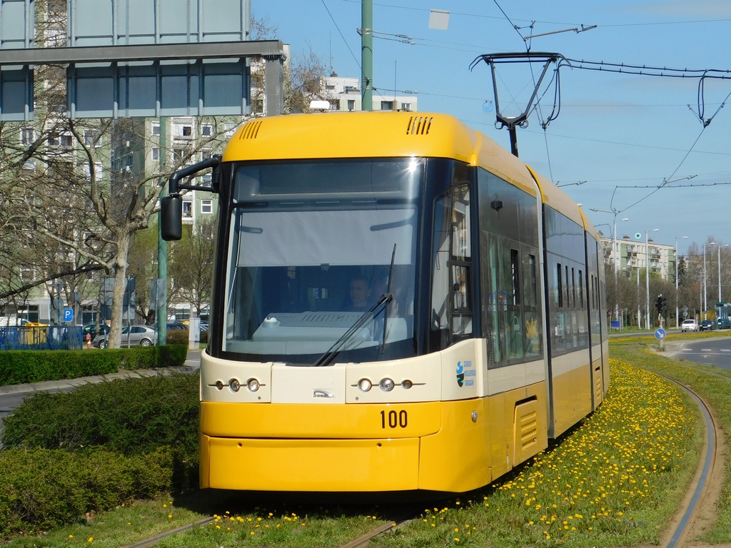 Сегед, PESA Swing 120Nb № 100