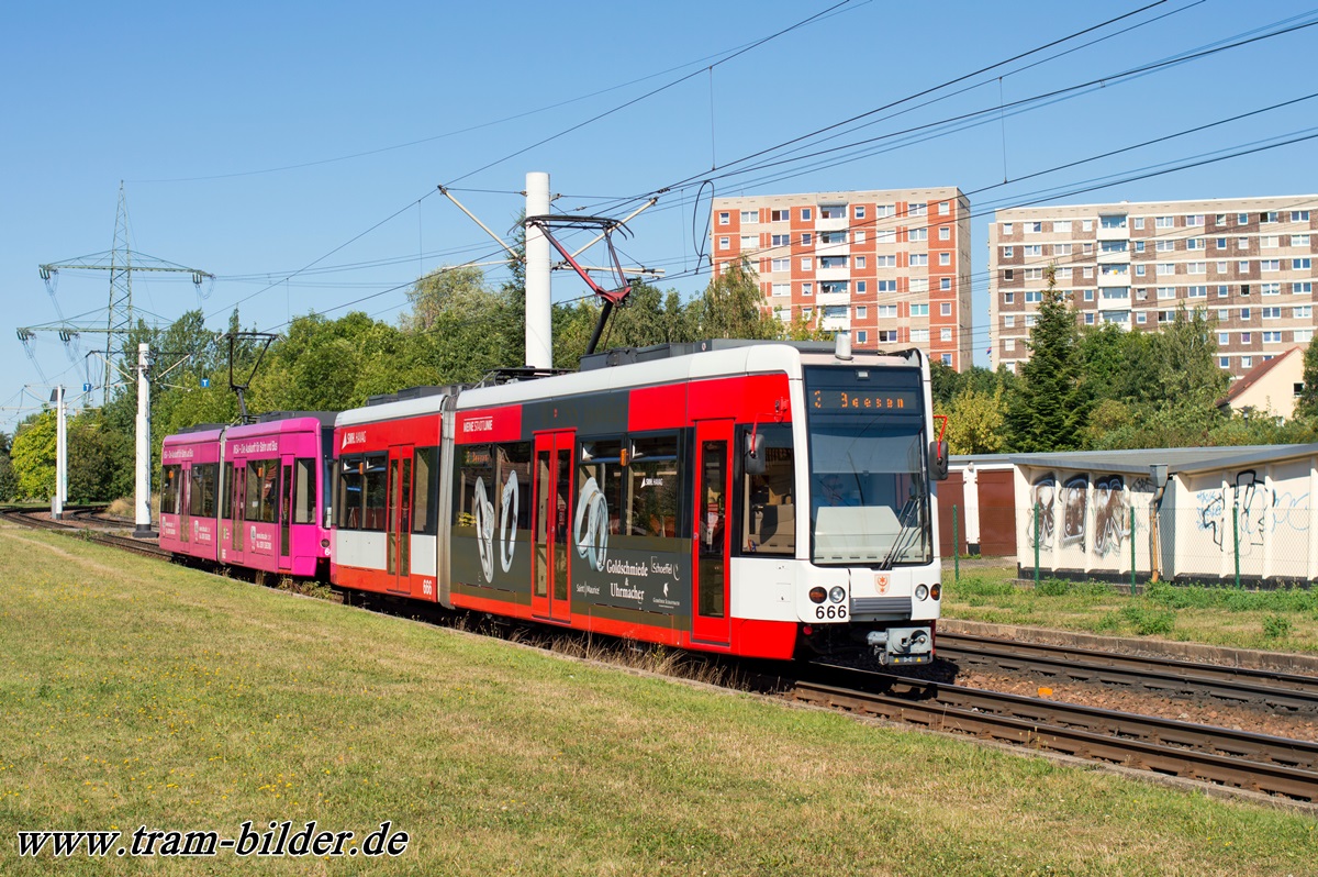 Галле, Bombardier MGT-K № 666