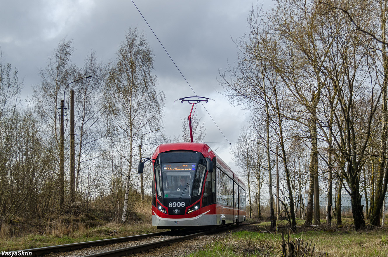 Санкт-Петербург, 71-931М «Витязь-М» № 8909