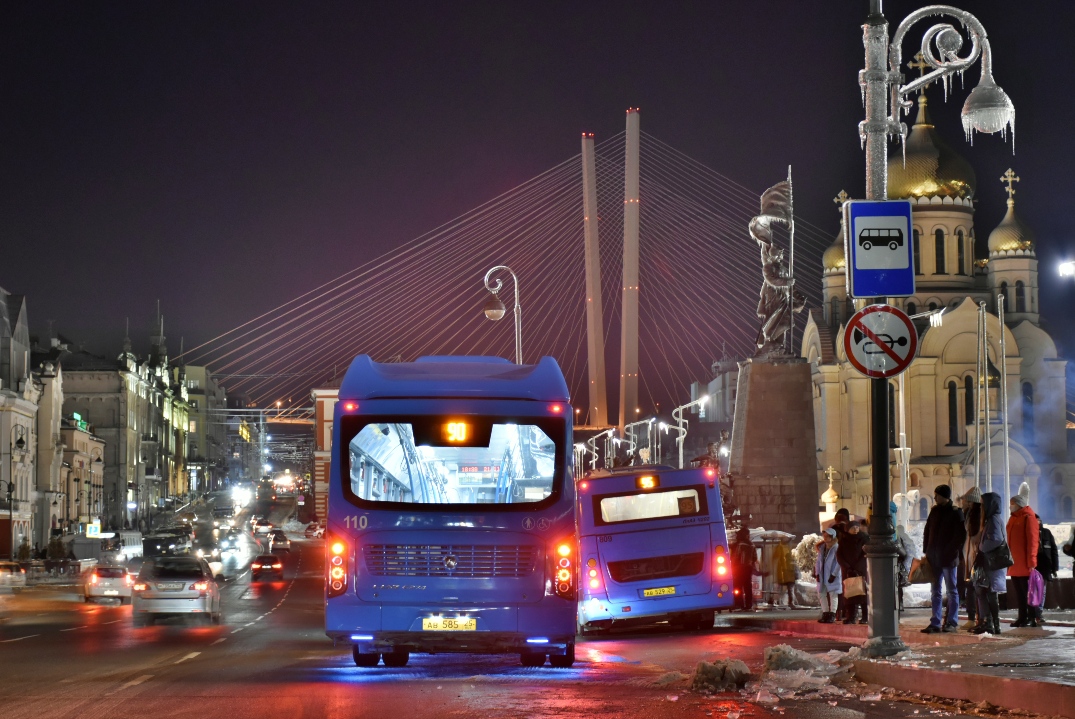 Владивосток, ЛиАЗ-6274 № 110