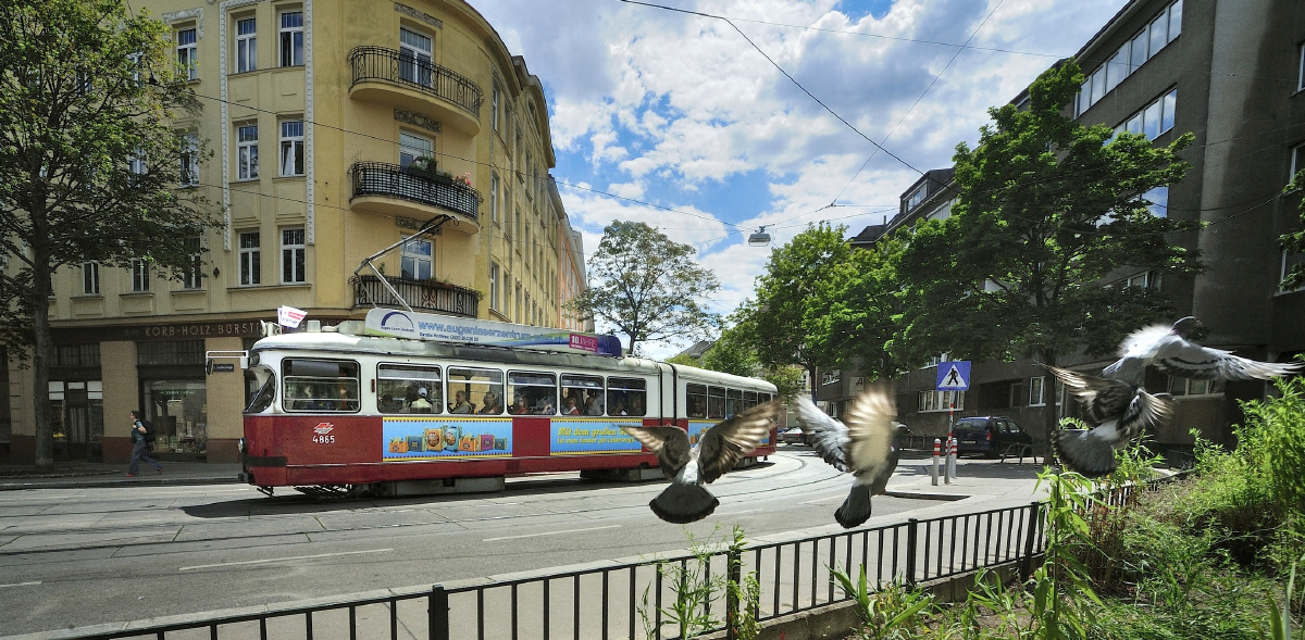 Viin, SGP Type E1 № 4865; Transport and animals