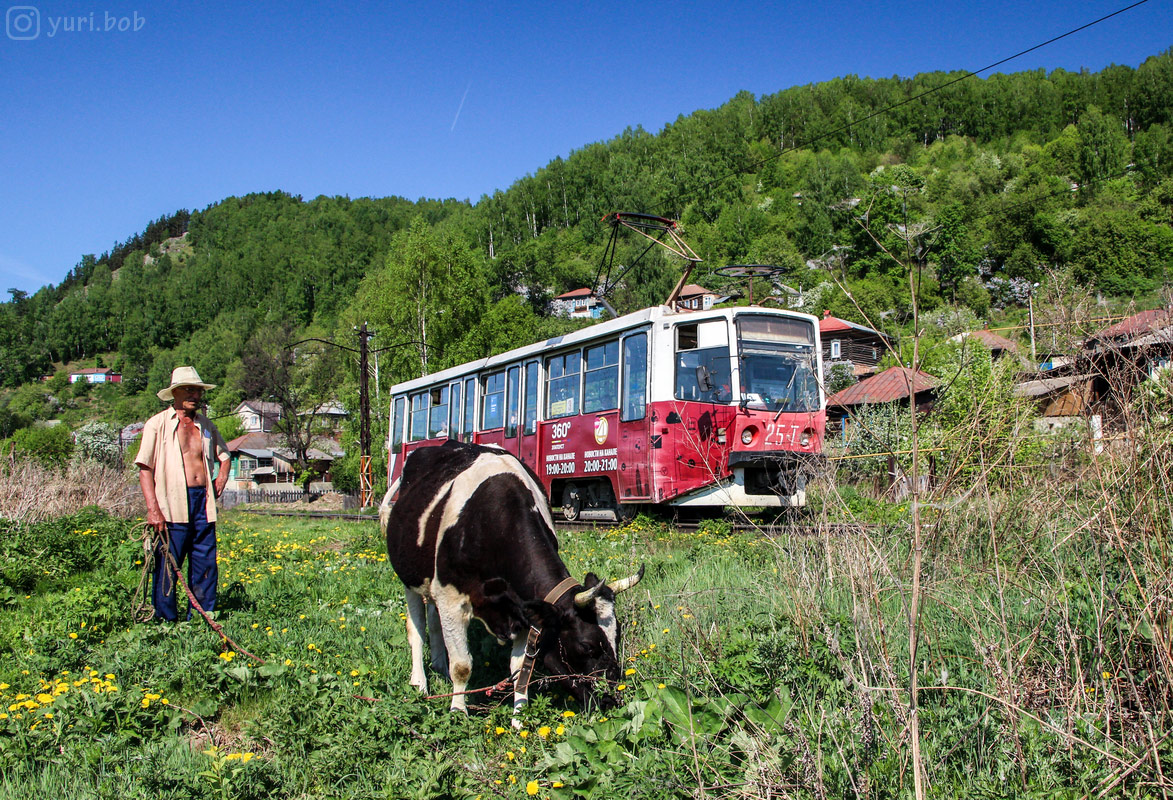 Transport and animals