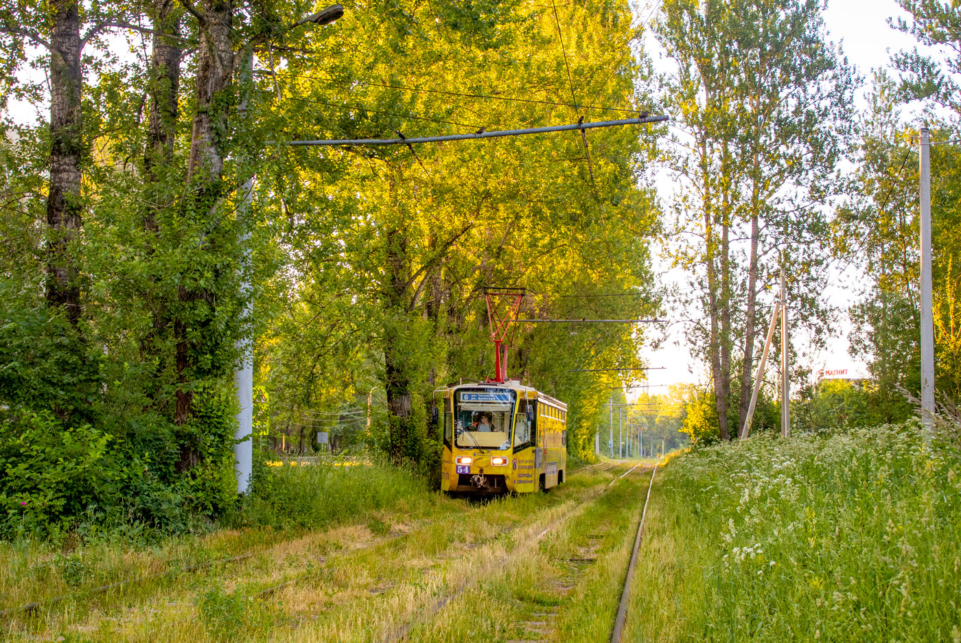 Yaroslavl, 71-619KT № 54