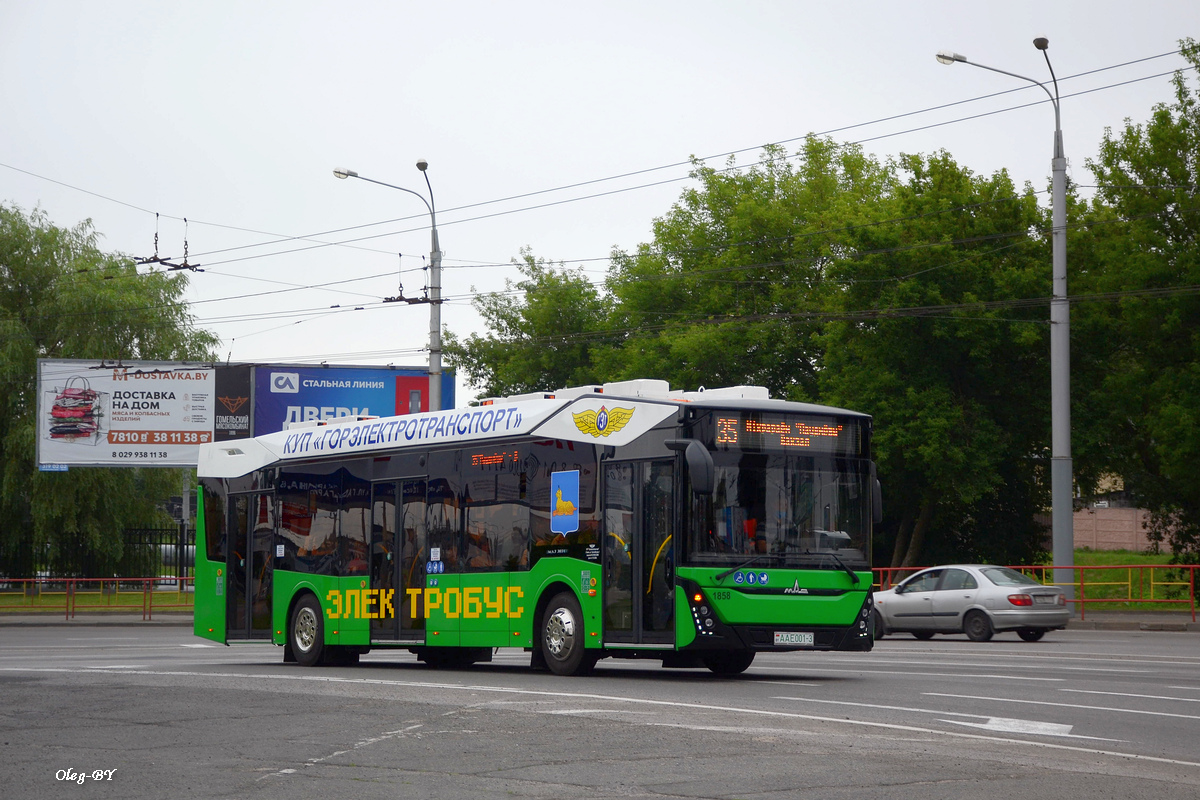 Гомель, МАЗ-303Е10 № 1858