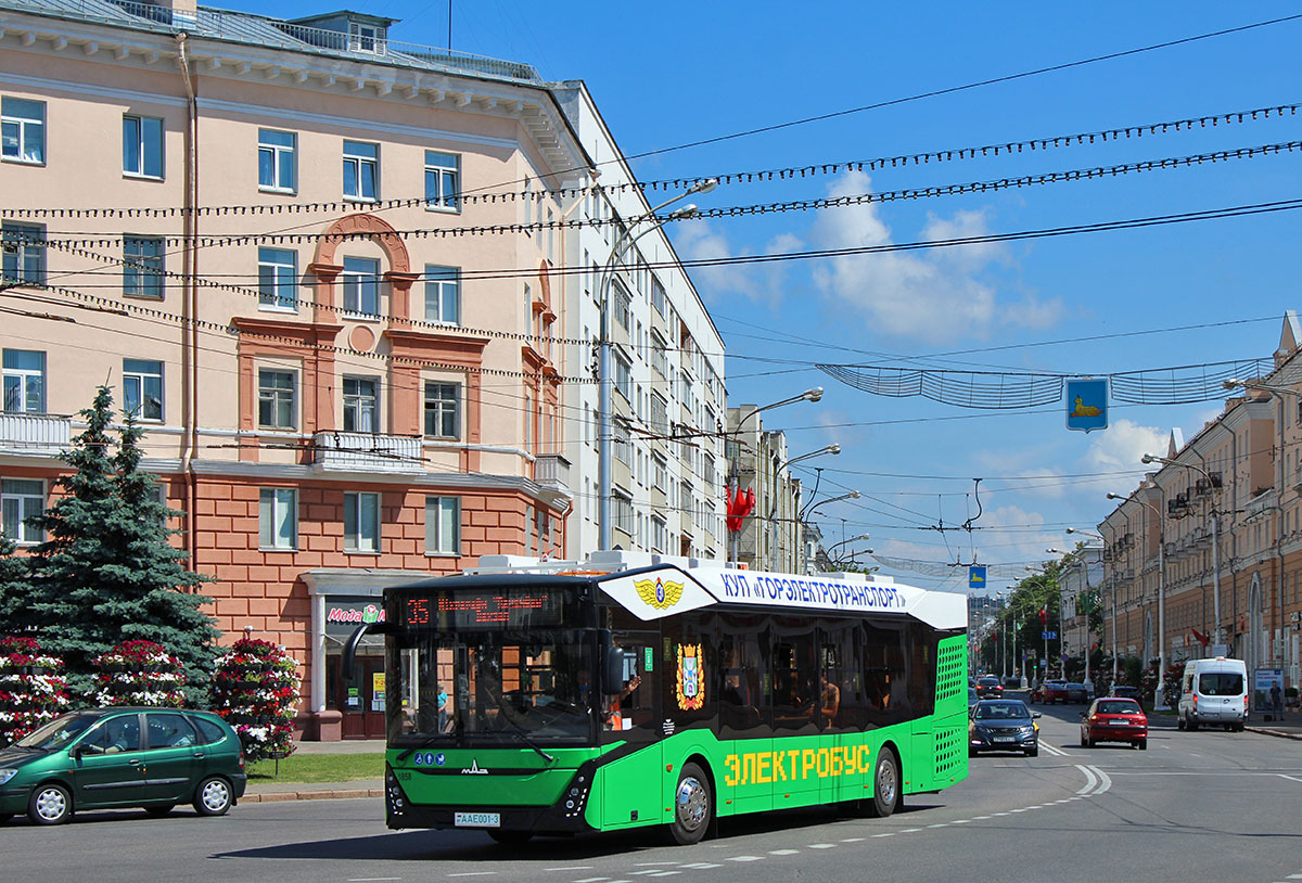 Гомель, МАЗ-303Е10 № 1858