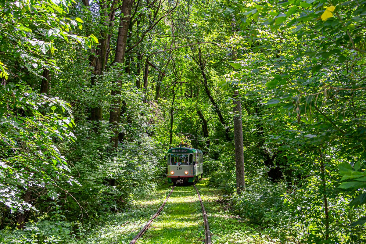 Владикавказ, Tatra T4DM № 239