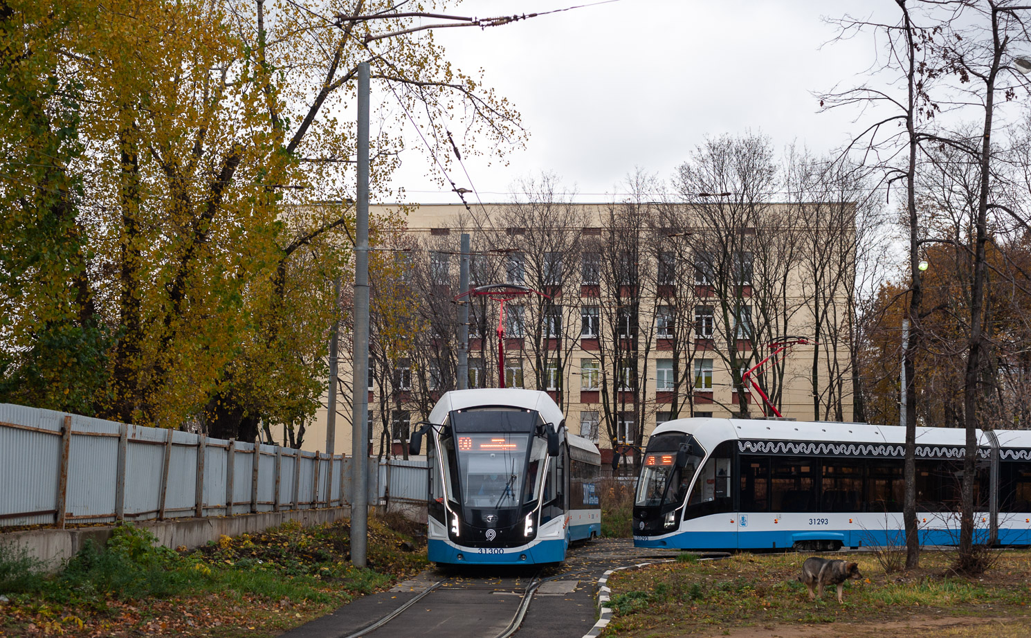 Москва, 71-931М «Витязь-М» № 31300