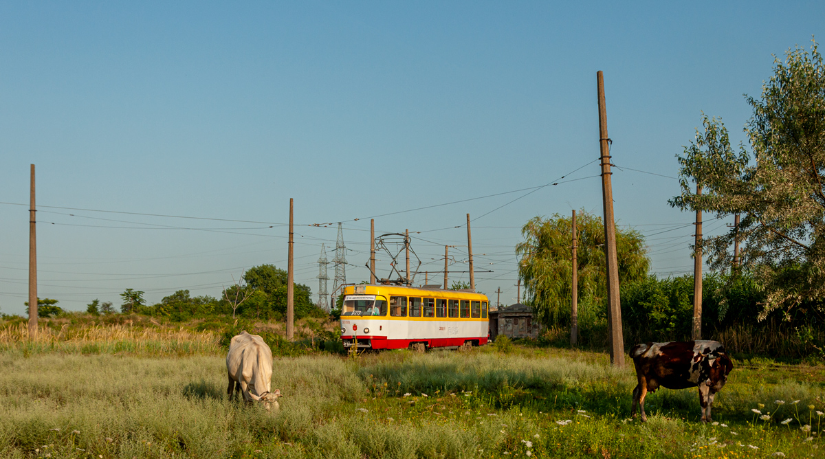 Транспорт и животные