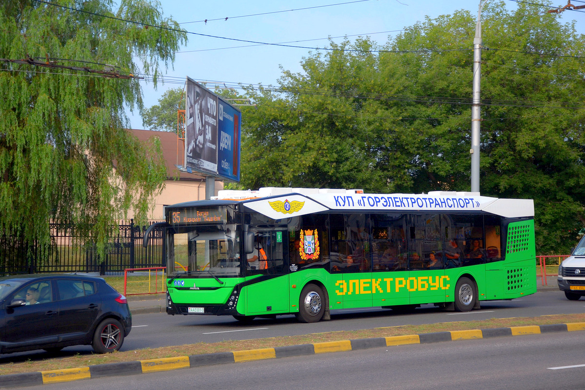 Гомель, МАЗ-303Е10 № 1858