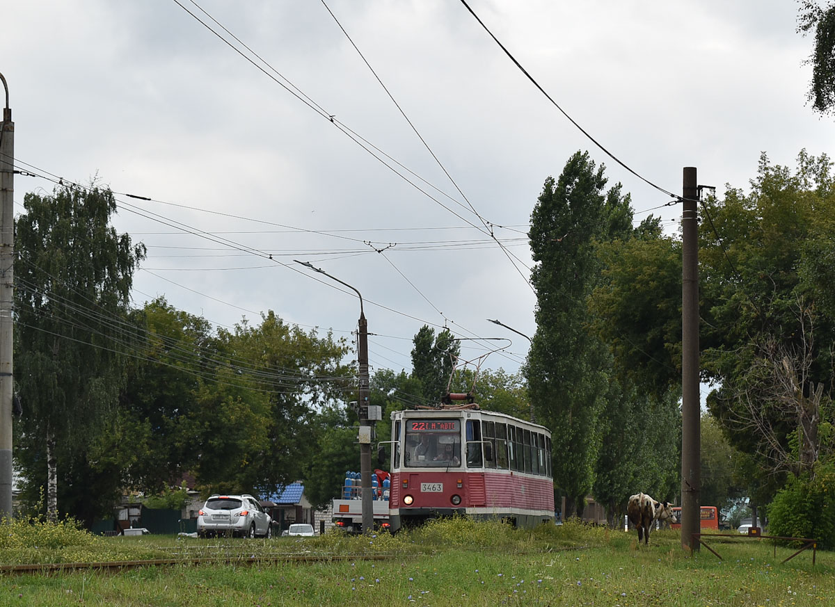 Нижний Новгород, 71-605А № 3463; Транспорт и животные
