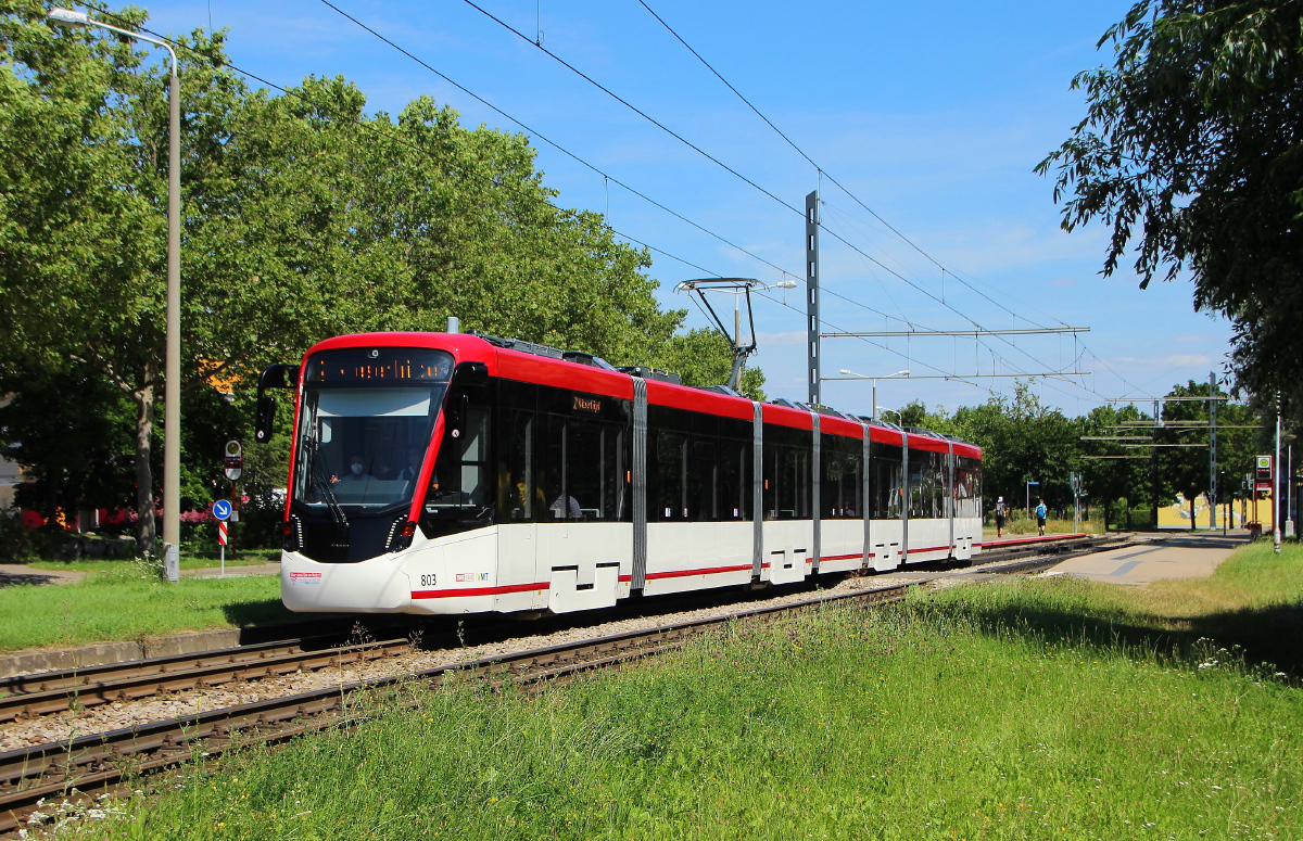 Эрфурт, Stadler Tramlink № 803