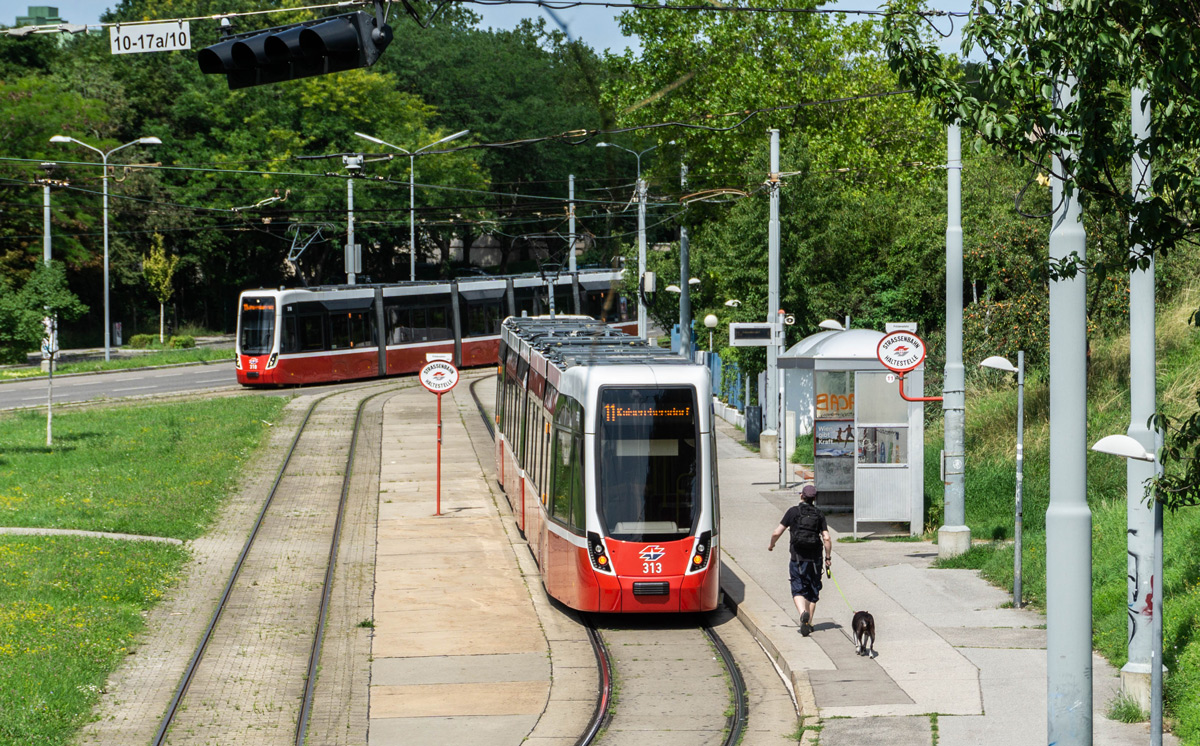 Viena, Bombardier Flexity Wien (Type D) Nr. 313 Viena, Bombardier Flexity Wien (Type D) Nr. 313