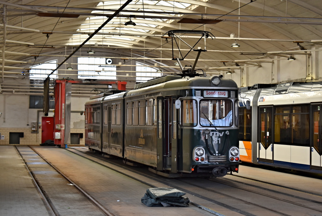 Рейн-Неккар, Rastatt GT8 № 81