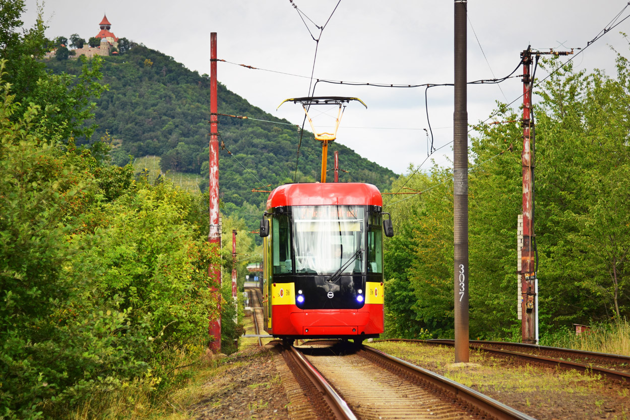 Мост ― Литвинов, EVO 1 № 316