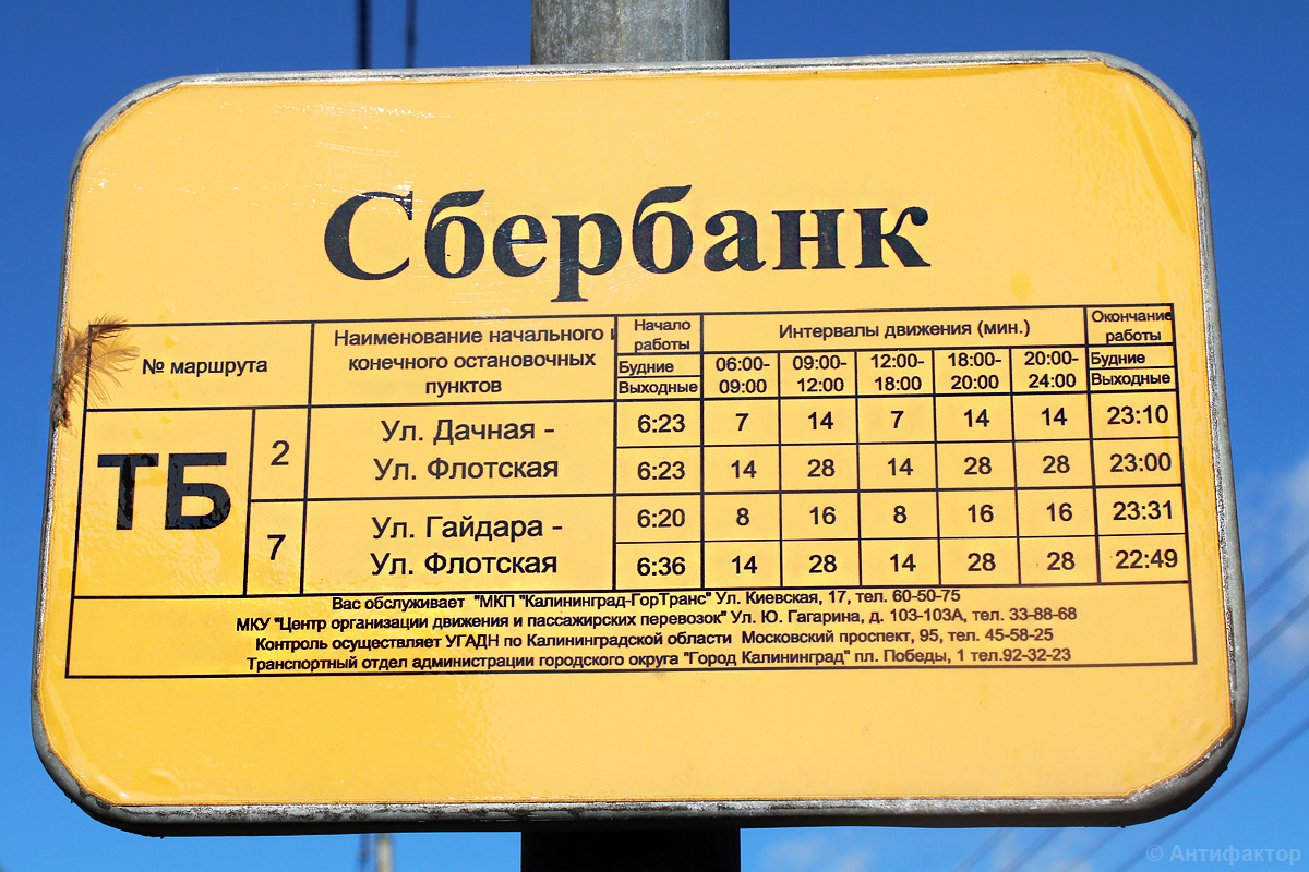 Калининград — Разные фотографии