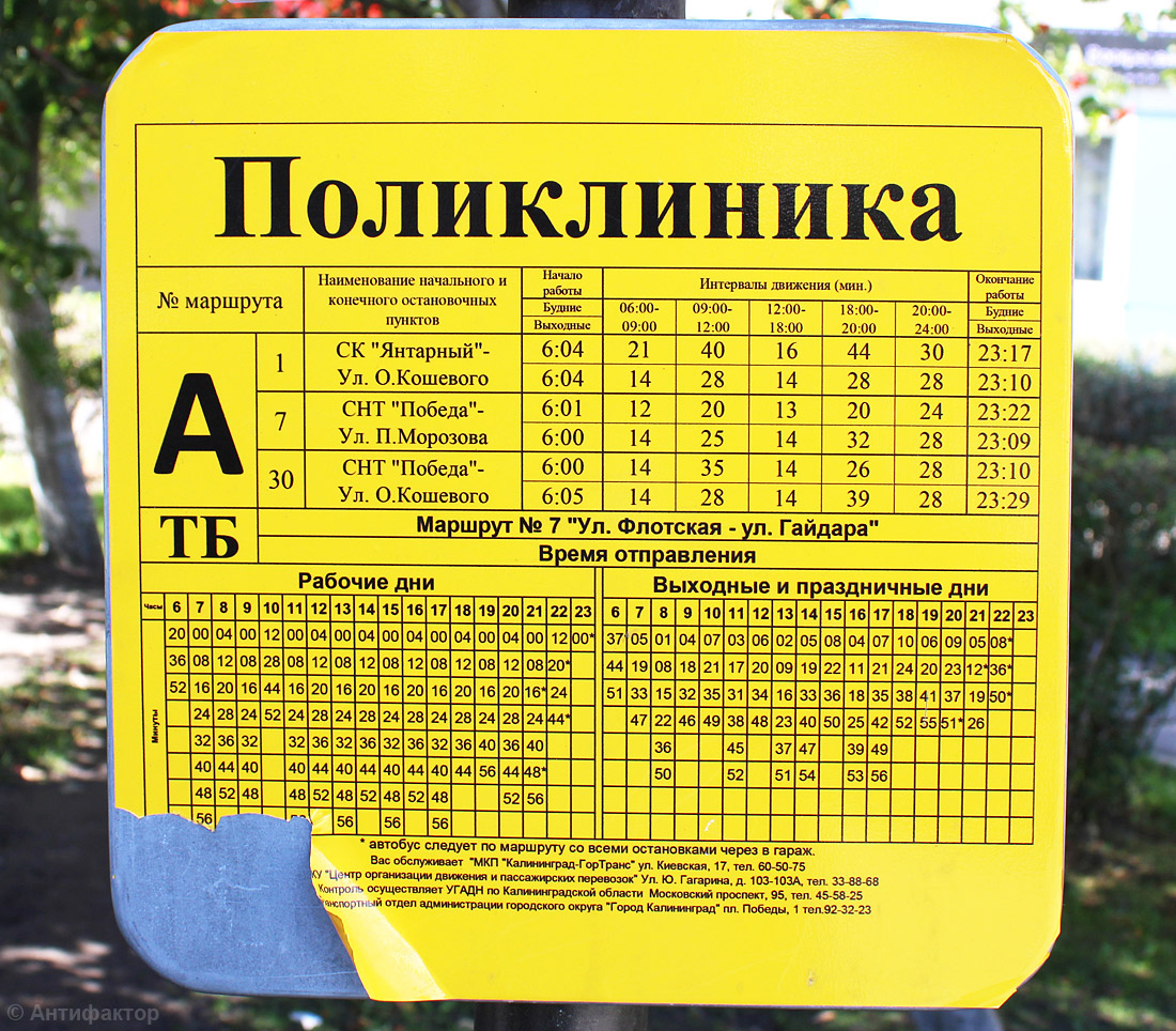Калининград — Разные фотографии