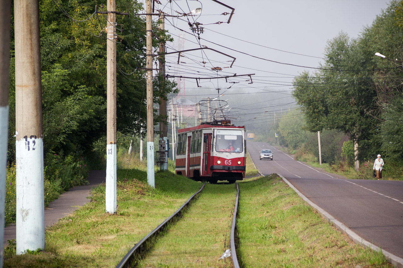 Осинники, 71-132 (ЛМ-93) № 65
