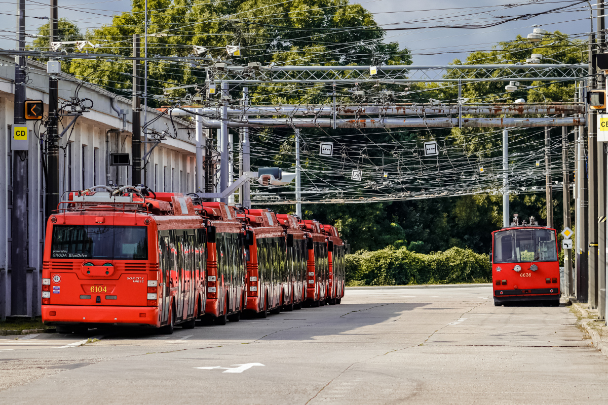 Bratislava, Škoda 15Tr13/6M č. 6636; Bratislava, Škoda 30TrDG SOR č. 6104; Bratislava — Deň otvorených dverí v DPB 2021