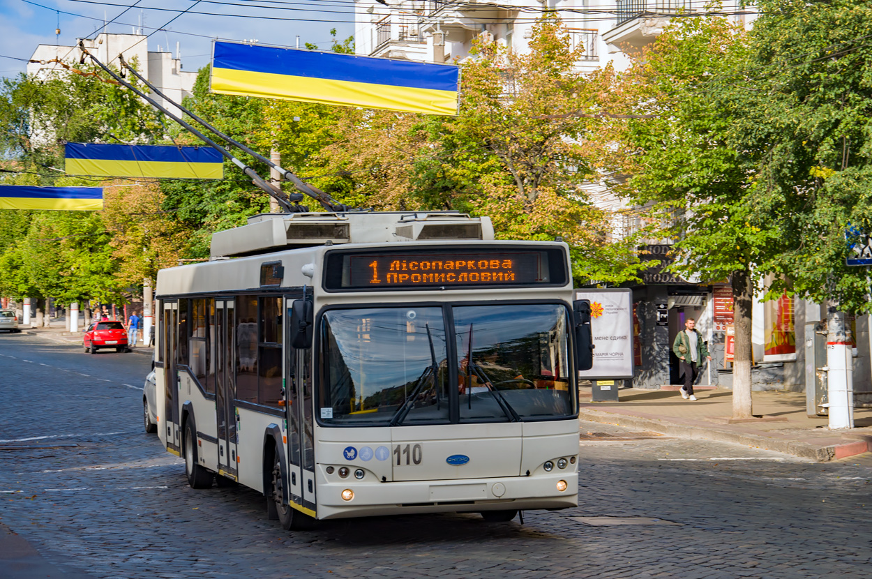 Кропивницкий, Дніпро Т103 № 110