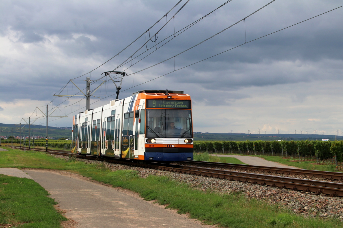 Rhein-Neckar, Duewag 6MGT № 5648