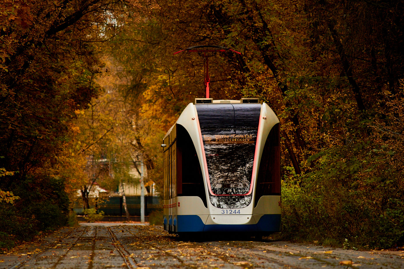 Москва, 71-931М «Витязь-М» № 31244