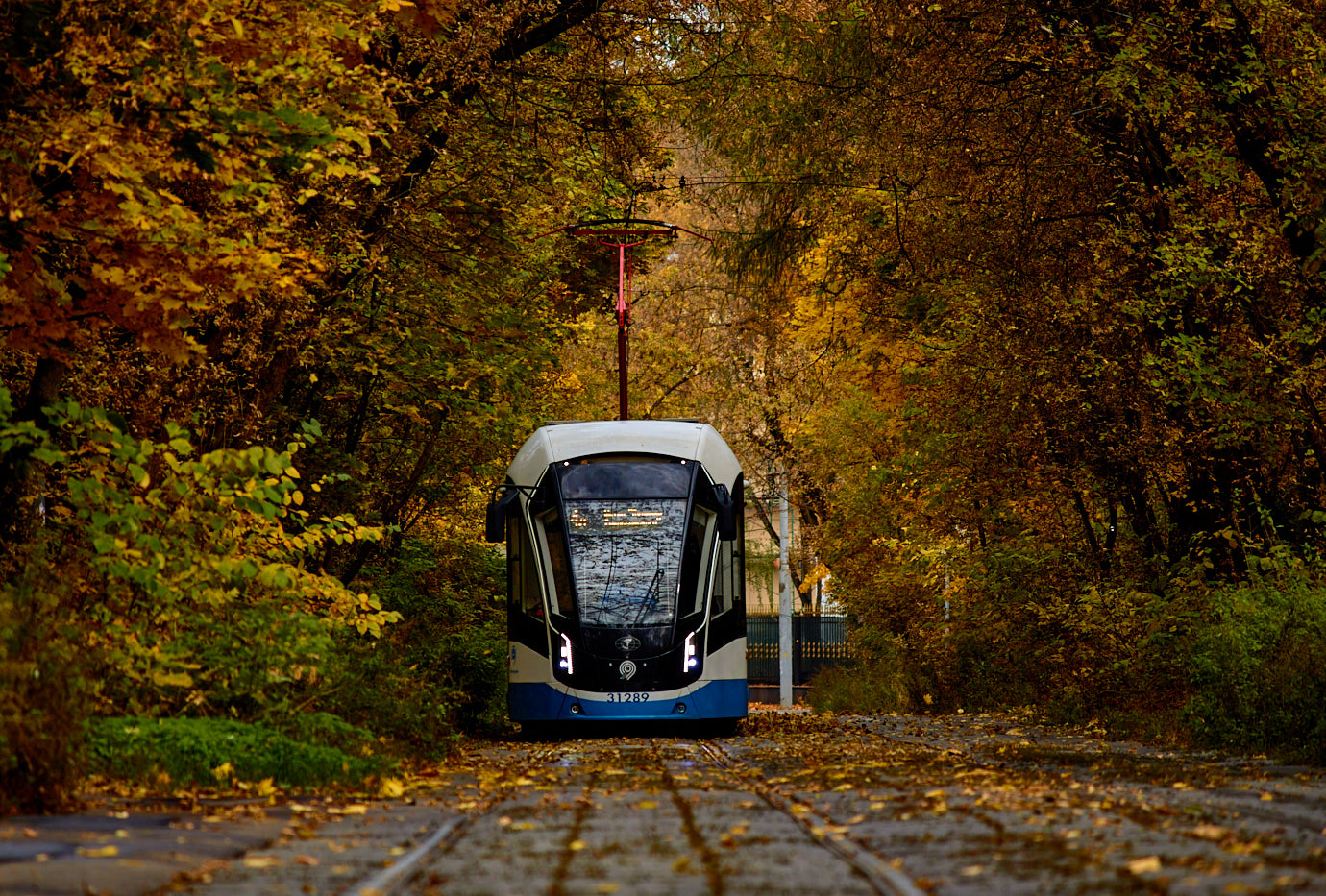 Москва, 71-931М «Витязь-М» № 31289