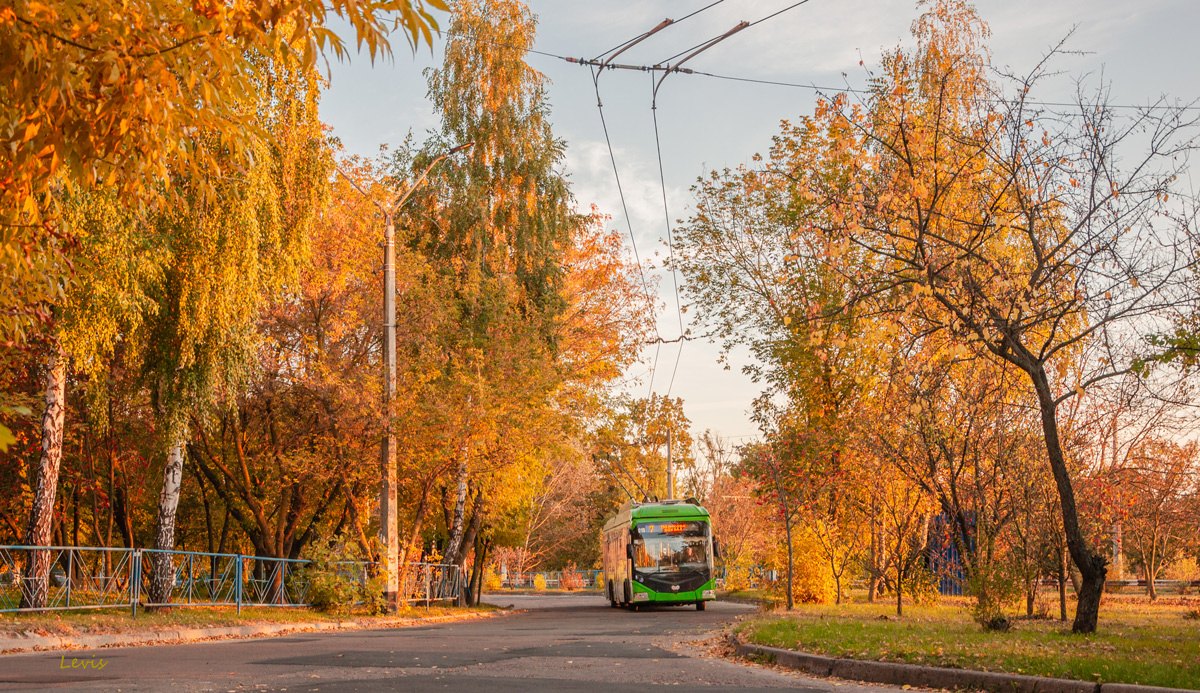 Житомир — Трамвайные и троллейбусные линии и инфраструктура
