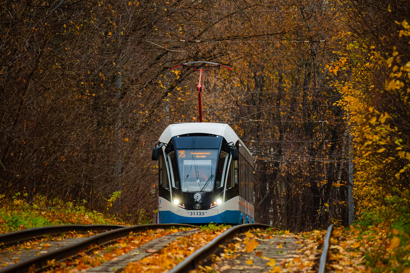 Москва, 71-931М «Витязь-М» № 31125